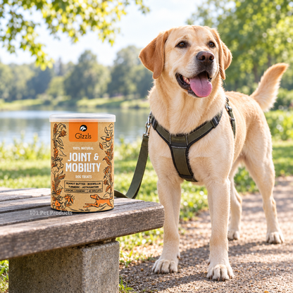 Gizzls Joint & Mobility Dog Biscuits (180 g)