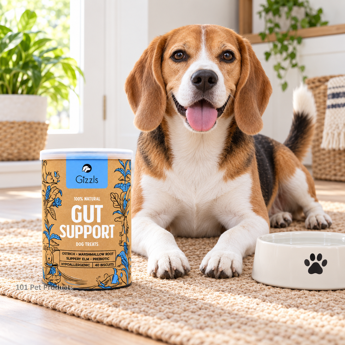 Gizzls Gut Support Dog Biscuits (180 g)