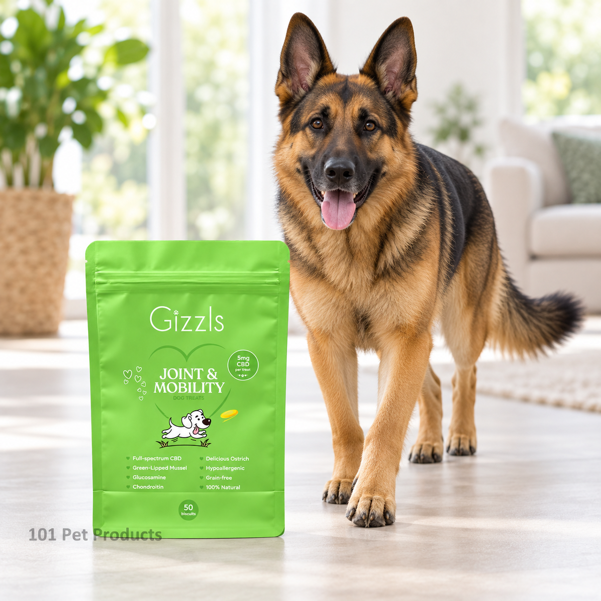 Gizzls Joint & Mobility CBD Treats 150 g Large Dog lifestyle image