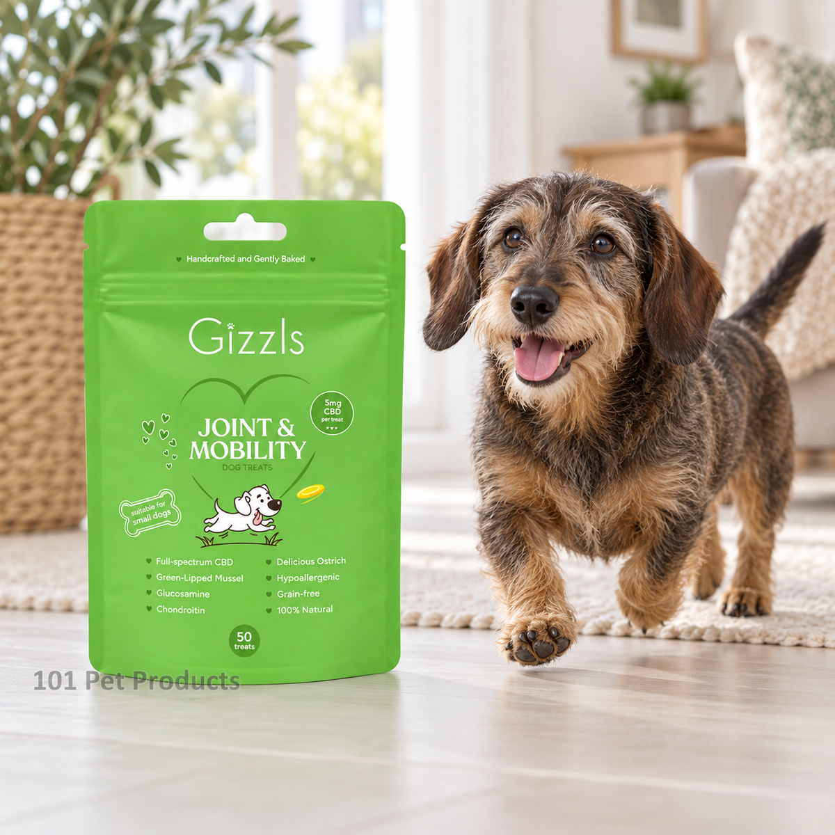 Gizzls Joint & Mobility CBD Treats 50 g Small Dog lifestyle image