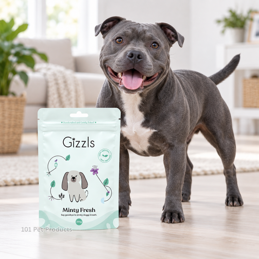 Gizzls Minty Fresh Dog Treats (100 g) lifestyle image