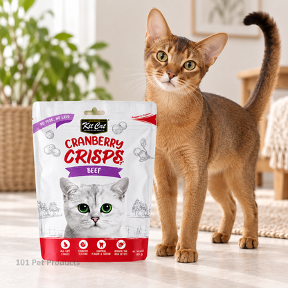 Kit Cat Cranberry Crisps Beef (60 g) lifestyle image