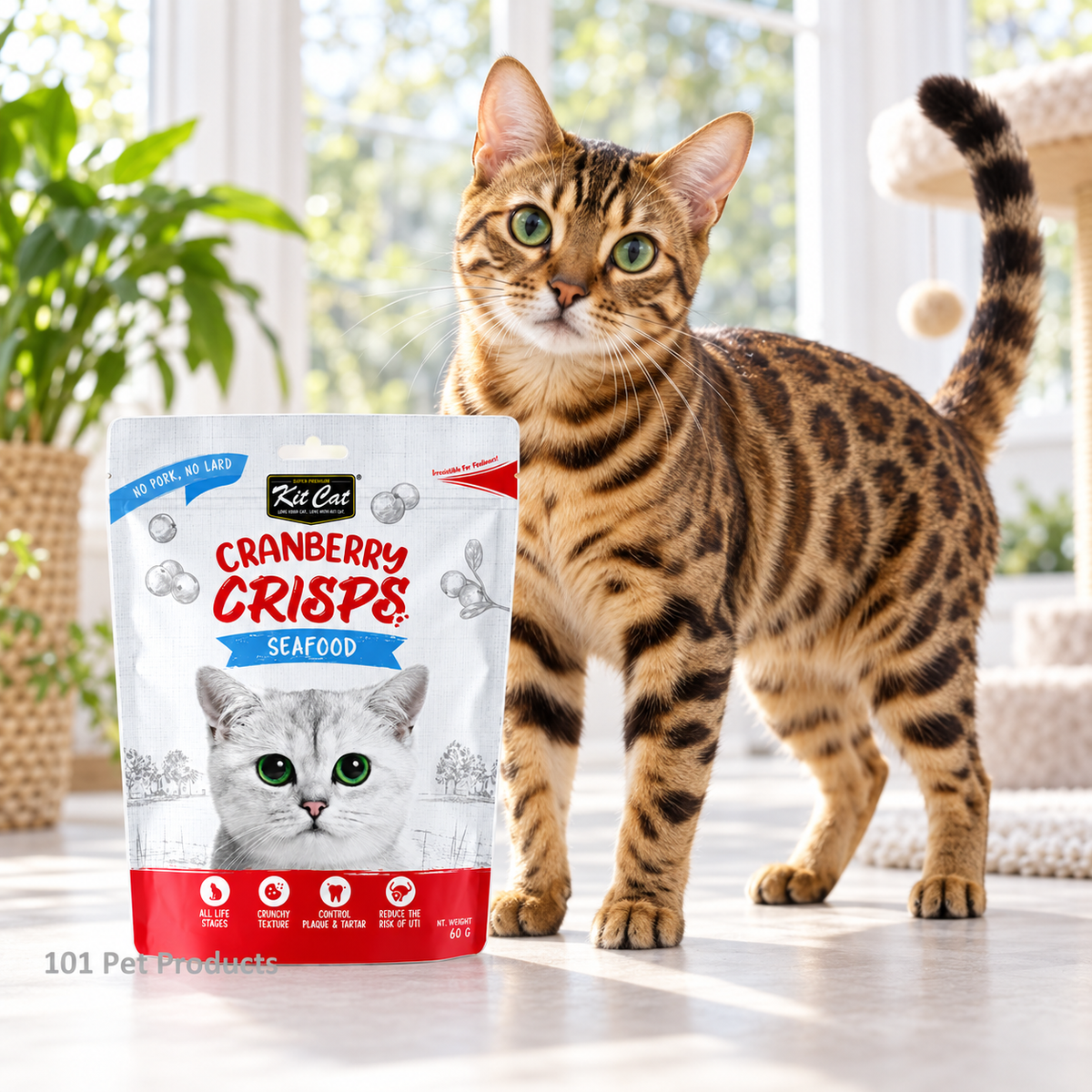 Kit Cat Cranberry Crisps Seafood (60 g) lifestyle image