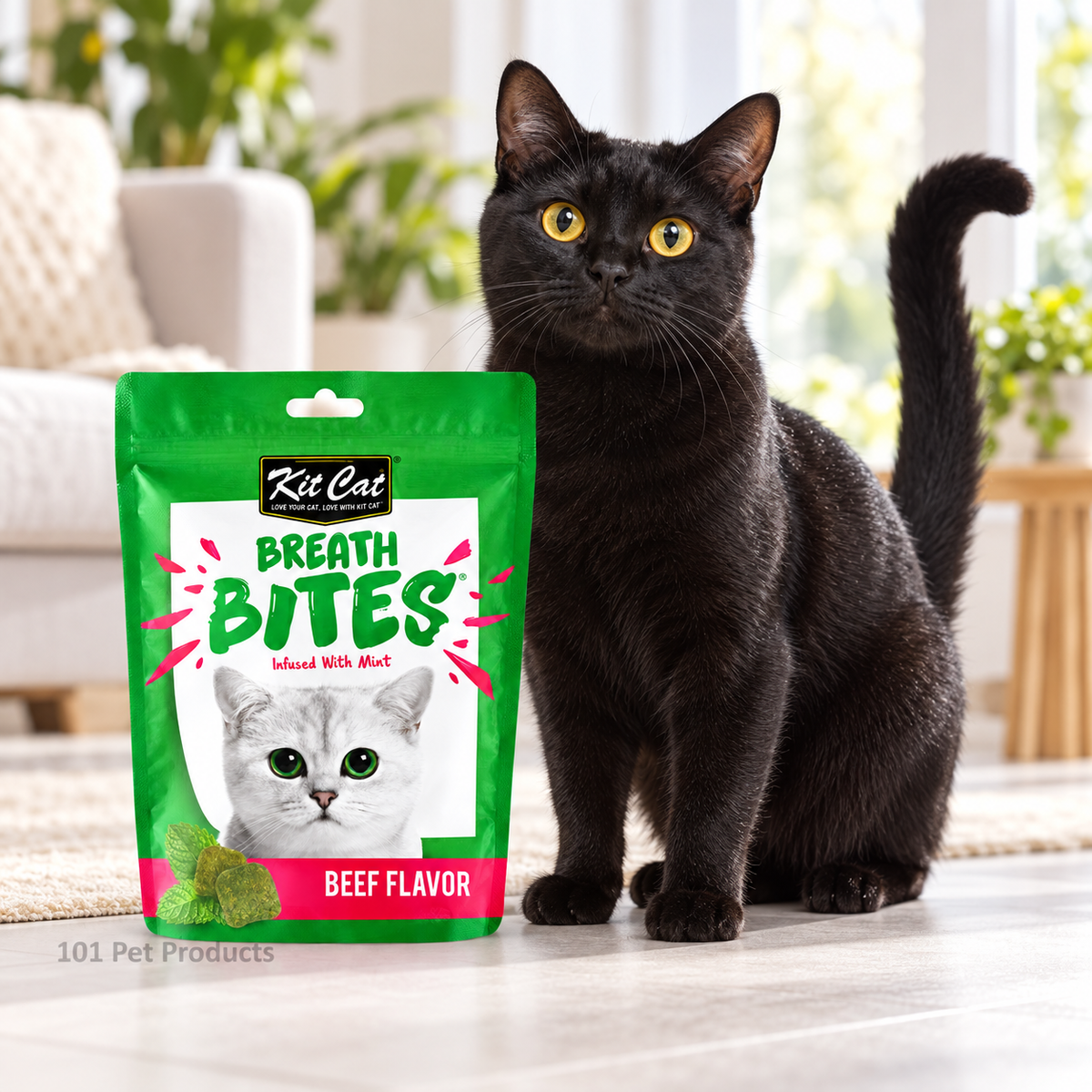 Kit Cat Dentalbreathbites Beef (60 g) lifestyle image