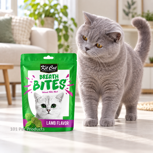 Kit Cat Dentalbreathbites Lamb (60 g) lifestyle image
