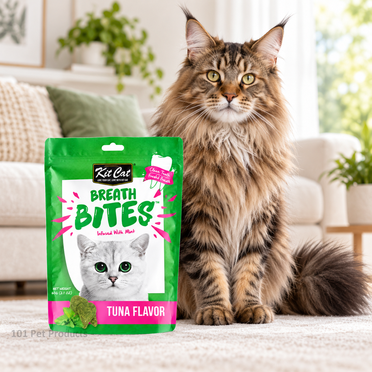 Kit Cat Dentalbreathbites Tuna (60 g) lifestyle image