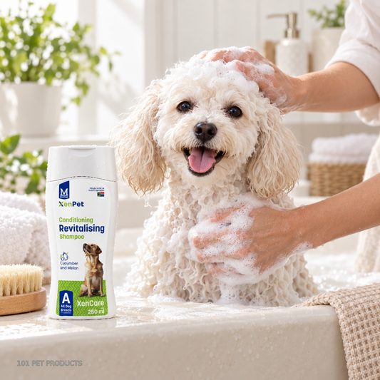 XenPet Grooming - Shampoo - Cucumber & Melon lifestyle image