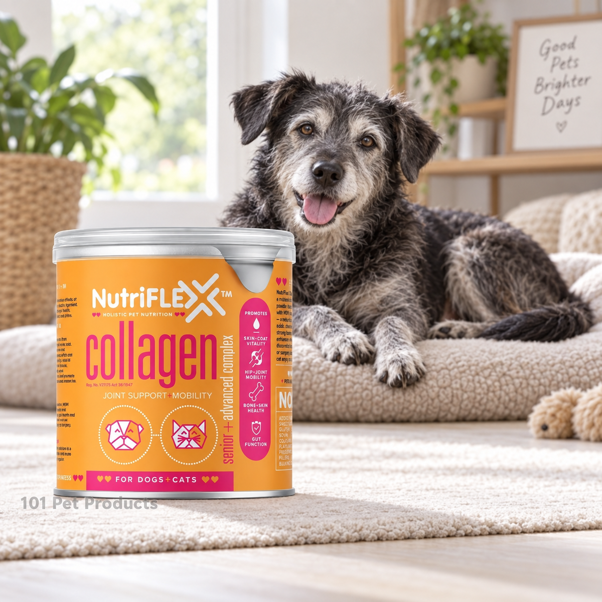 NutriFlex Collagen Advanced Mobility for Senior Dogs & Cats (150 g)