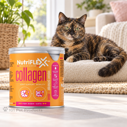 NutriFlex Collagen Advanced Mobility for Senior Dogs & Cats (250 g)