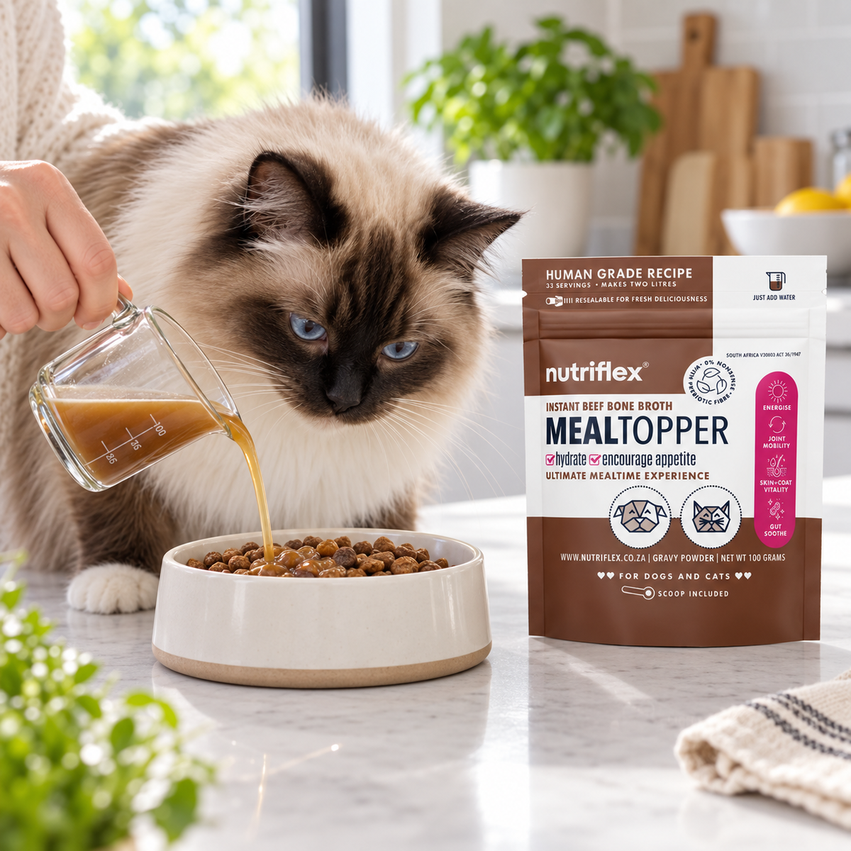 NutriFlex Bone Broth Gravy Meal Topper for Dogs (100 g) lifestyle image