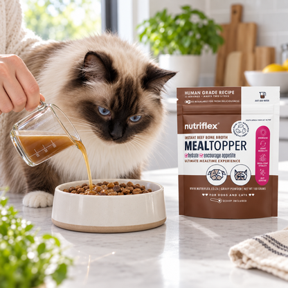 NutriFlex Bone Broth Gravy Meal Topper for Dogs (100 g) lifestyle image