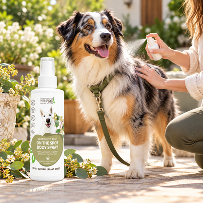 Pannatural Pets Outdoor Fun Body Spray 250 ml lifestyle image
