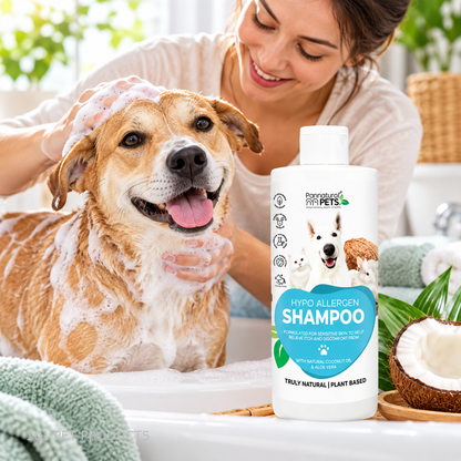 Pannatural Pets Hypoallergenic Shampoo – 500 ml lifestyle image