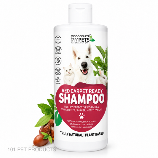 Pannatural Pets Red Carpet Ready Shampoo – 500 ml