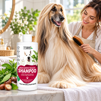 Pannatural Pets Red Carpet Ready Shampoo – 500 ml lifestyle image