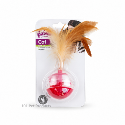 Pawise Cat Brain Teaser Toy