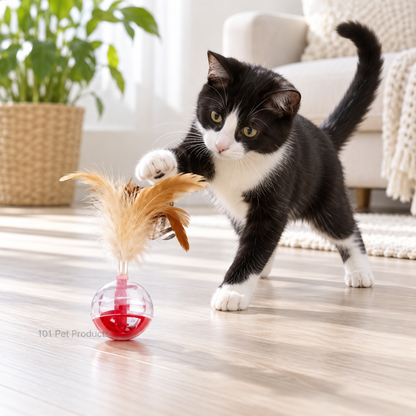 Pawise Cat Brain Teaser Toy