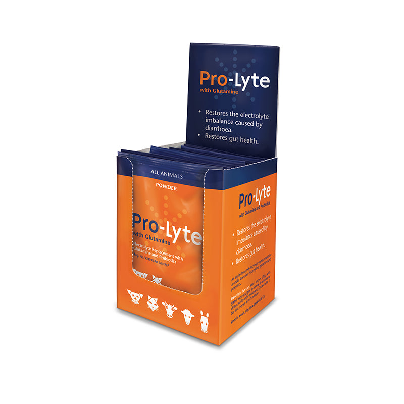 Pro-Lyte Sachets with electrolytes 10's