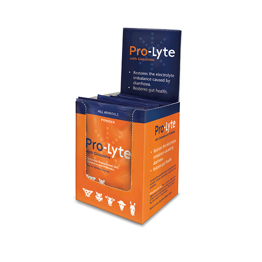 Pro-Lyte Sachets with electrolytes 10's
