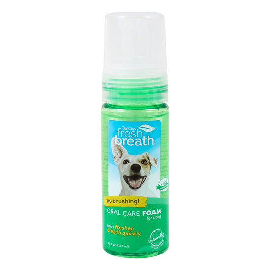 Fresh Breath - Mint Foam 4.5Oz