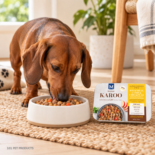 Karoo Dog Wet Food - Adult - Lamb & Chickpeas lifestyle image