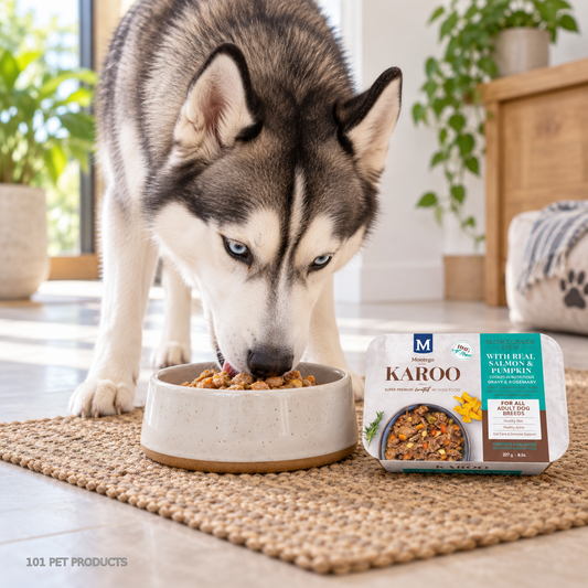 Karoo Dog Wet Food - Adult - Salmon & Pumpkin lifestyle image
